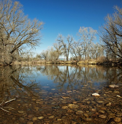 Poudre River. Click to visit ninebarkimagery.com. Poudre River. © ninebarkimagery.com