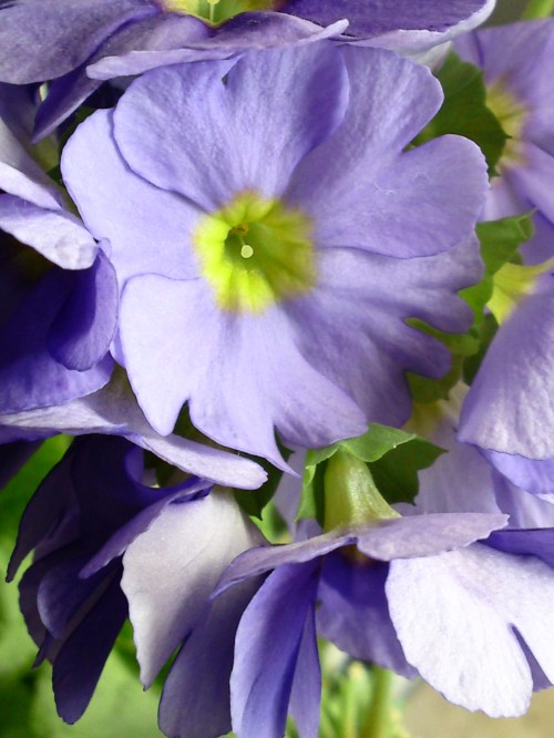 Click to see full size (368 kB) Zoomed, contrast slightly increased