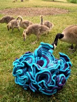 Click to visit Daina Taimina's blog Another crocheted hyperbolic plane